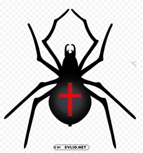 halloween spider PNG pictures with no background required