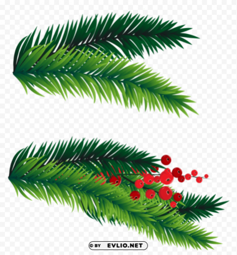 pine branches decoration Isolated Item in Transparent PNG Format