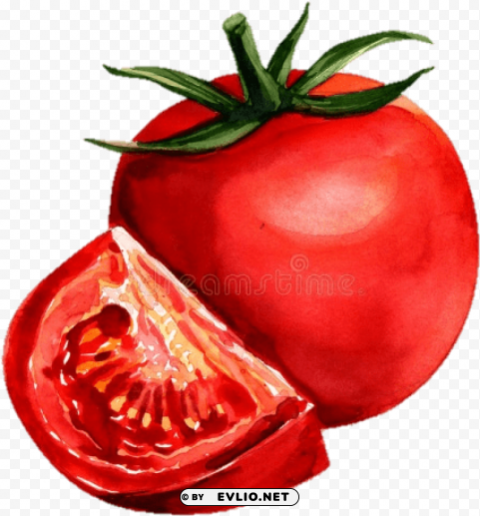 tomato watercolor painting Transparent PNG images pack