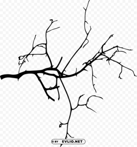 tree branches silhouette Isolated Artwork in HighResolution Transparent PNG