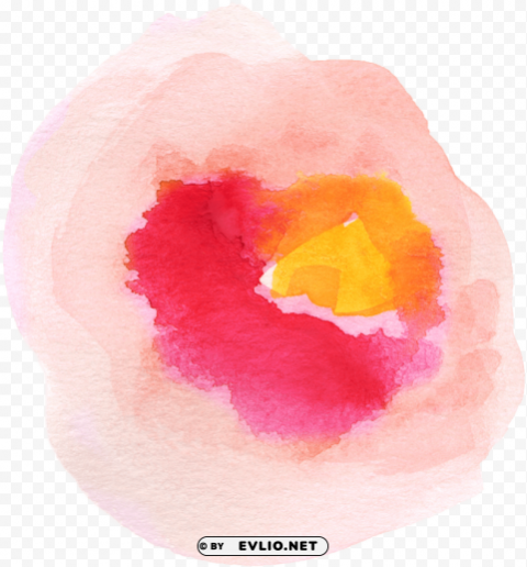 watercolor flower Isolated Object on Transparent PNG