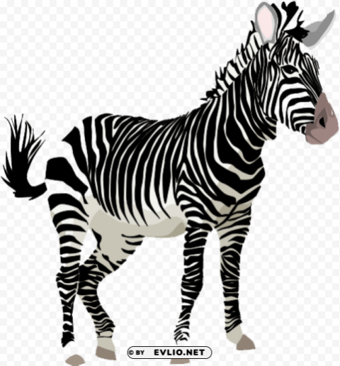 zebra Clear background PNGs