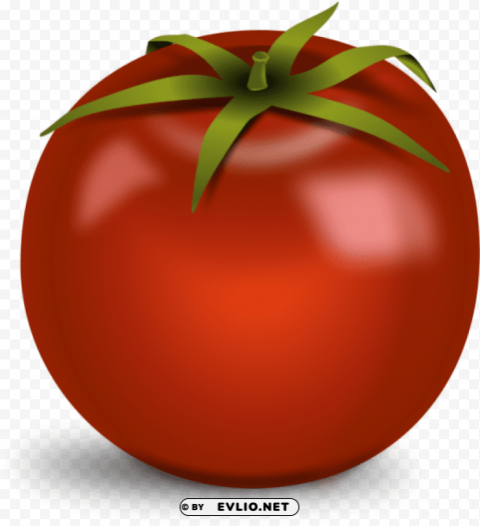 tomato with no background Transparent PNG Isolated Subject