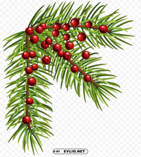 christmas pine corner PNG images for mockups