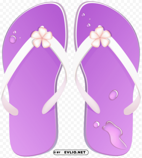 flip flops PNG with no background required