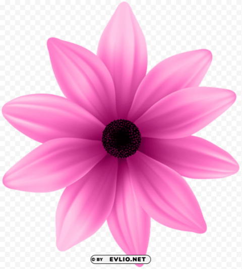 flower pink PNG files with clear backdrop collection