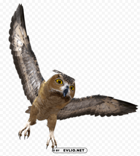 owl in flight HighResolution Transparent PNG Isolated Element