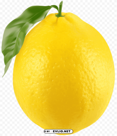 fresh lemon Isolated Design on Clear Transparent PNG