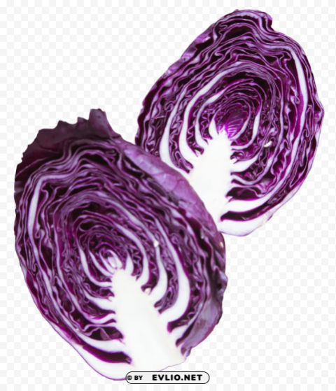 Napa Cabbage Purple Clear Background Isolated PNG Illustration