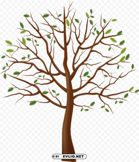 tree PNG images with clear cutout