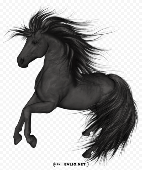 Black Horse PNG Graphic With Clear Background Isolation