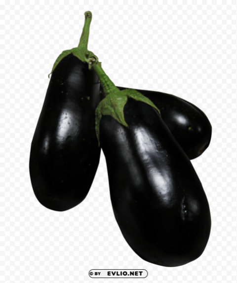 eggplant PNG Graphic Isolated on Transparent Background