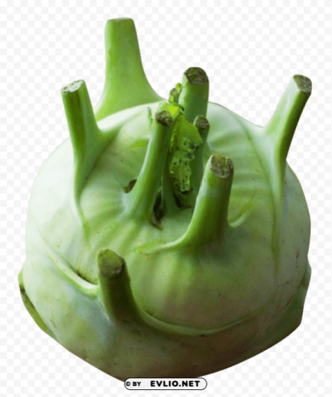 kohlrabi Free PNG images with alpha transparency comprehensive compilation PNG images with transparent backgrounds - Image ID 9dd6fe28