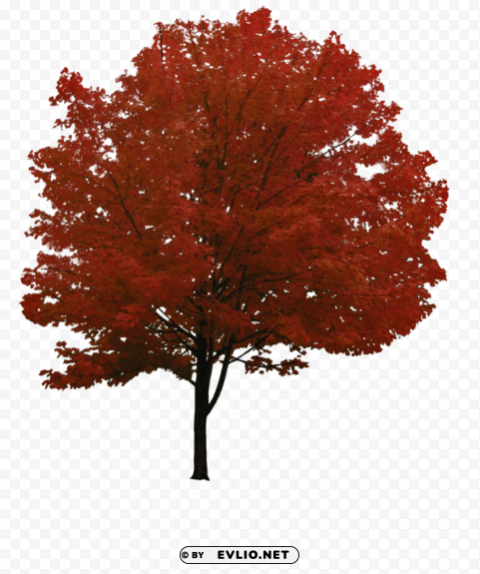 PNG image of tree PNG images without subscription with a clear background - Image ID fb41166d