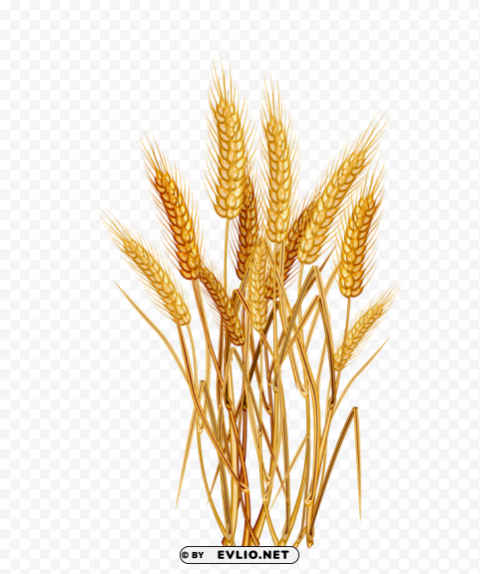 Wheat PNG Graphics With Alpha Channel Pack