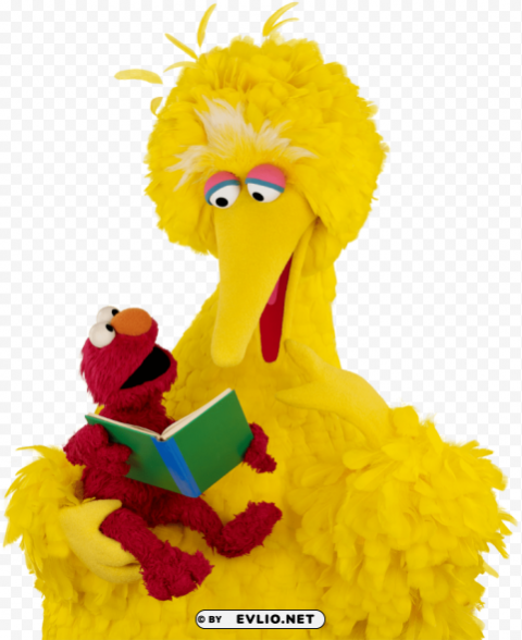big bird reading a book Free PNG images with alpha channel compilation