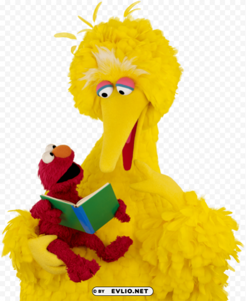 Big Bird Reading A Book Free PNG Images With Alpha Channel Compilation