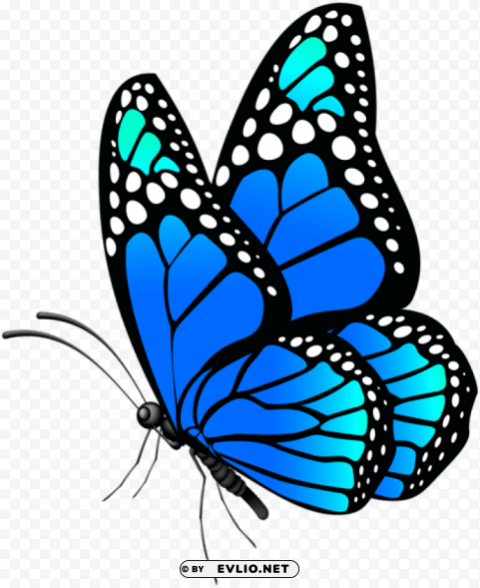 butterfly blue Transparent PNG pictures archive clipart png photo - 405a9c66