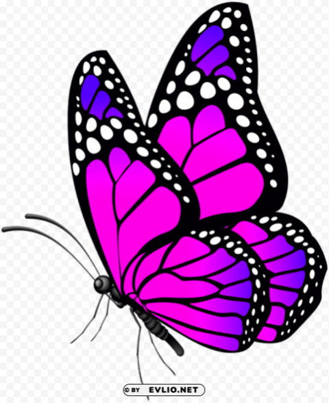 Butterfly Pink Transparent PNG Isolated Object With Detail