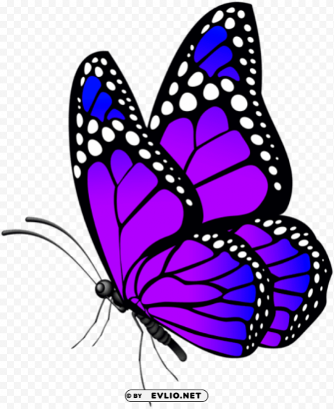 butterfly purple Transparent PNG Isolation of Item clipart png photo - ba0e42b6