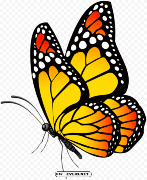 Butterfly Yellow Transparent PNG Isolated Item