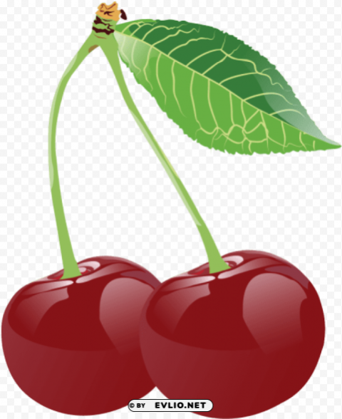 Fruit Free Download PNG Images With Alpha Channel