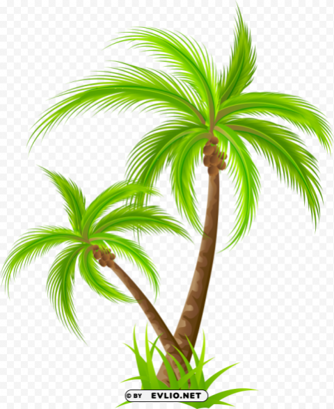 palm Free download PNG with alpha channel clipart png photo - 89edacf3