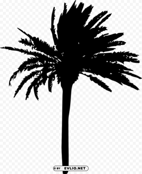 Palm Tree Silhouette Clean Background Isolated PNG Graphic Detail