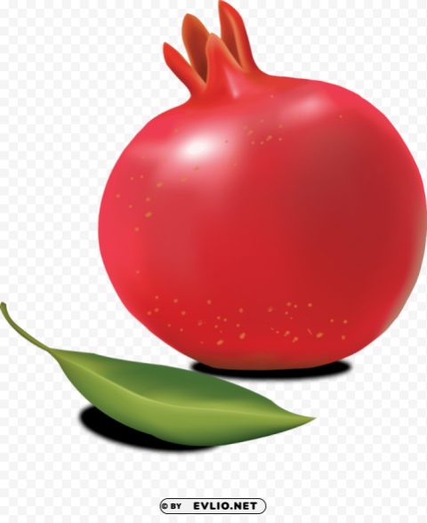 pomegranate Free PNG images with transparent layers compilation