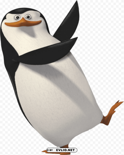 madagascar penguin Transparent PNG Isolated Object