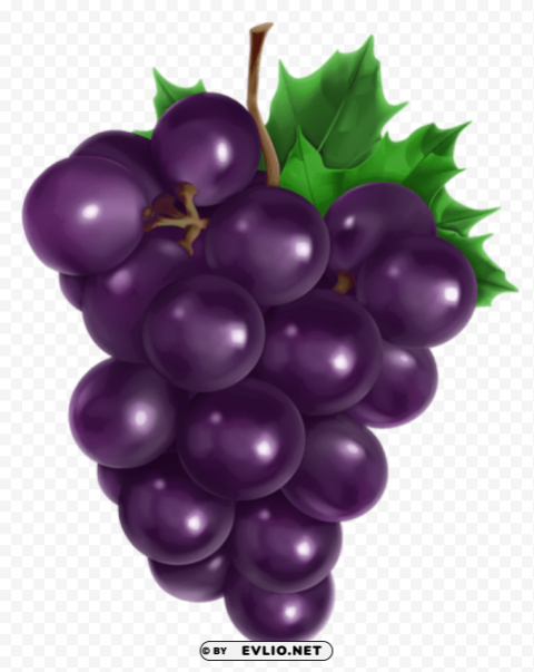 transparent grapepicture PNG images with alpha transparency bulk