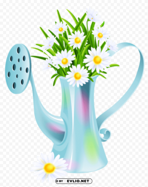 water can with daisiespicture Transparent PNG Isolated Element with Clarity