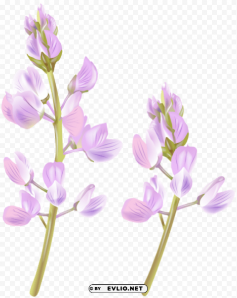 PNG image of wildflower PNG transparent design diverse assortment with a clear background - Image ID 6abb338a