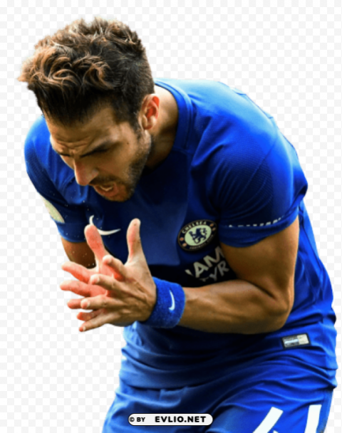 Download cesc fàbregas Isolated Graphic with Transparent Background PNG png images background ID f96a755f