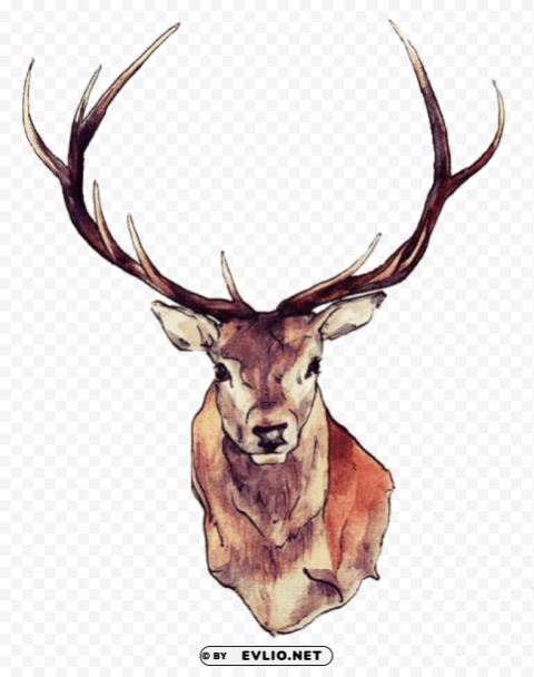 deer face PNG transparent designs for projects