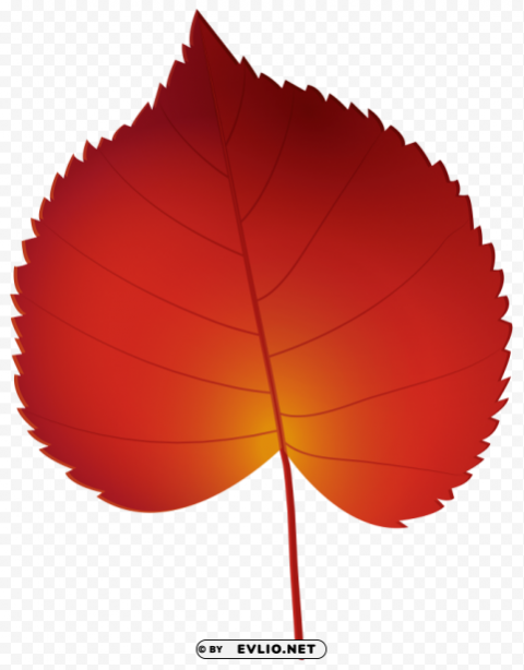red autumn leaf PNG images with no background assortment