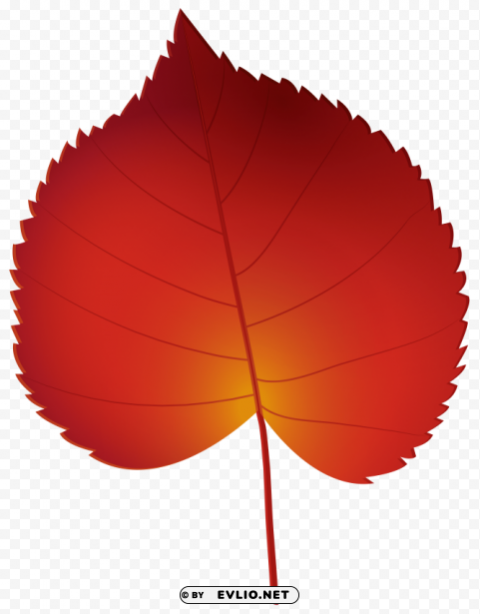 Red Autumn Leaf PNG Images With No Background Assortment