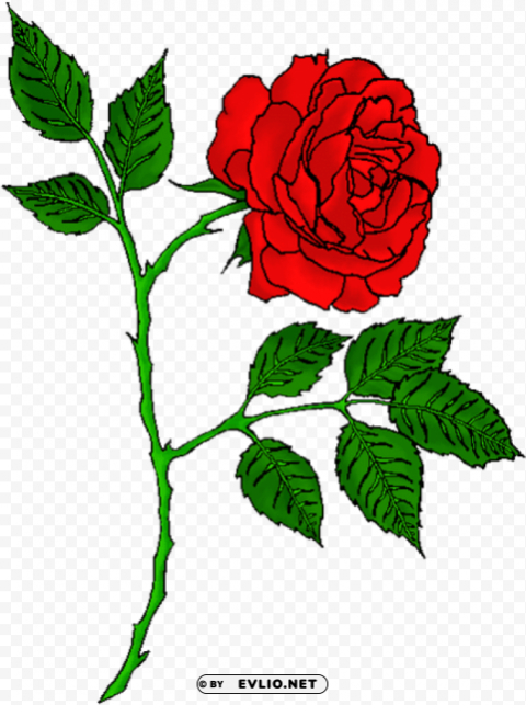 red rose tattoo transparent PNG isolated PNG transparent with Clear Background ID 41542141