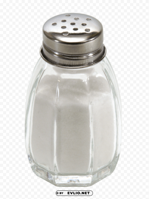salt shaker PNG Image with Clear Isolated Object