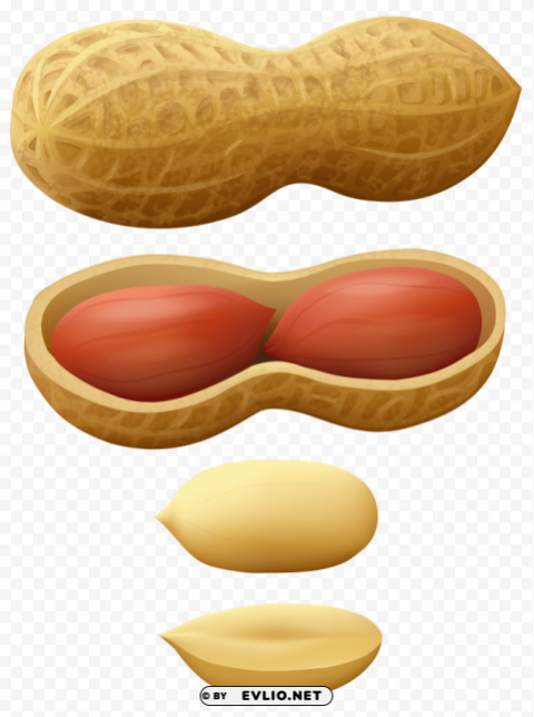 peanuts PNG pictures with no background required