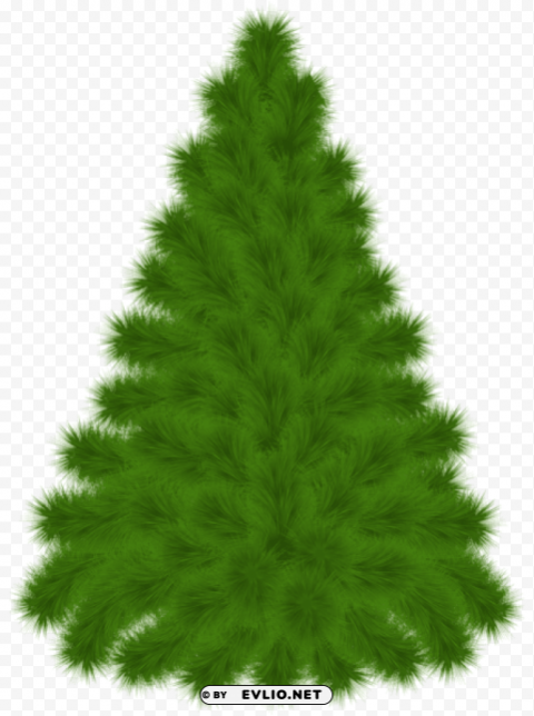 pine treepicture High-quality PNG images with transparency