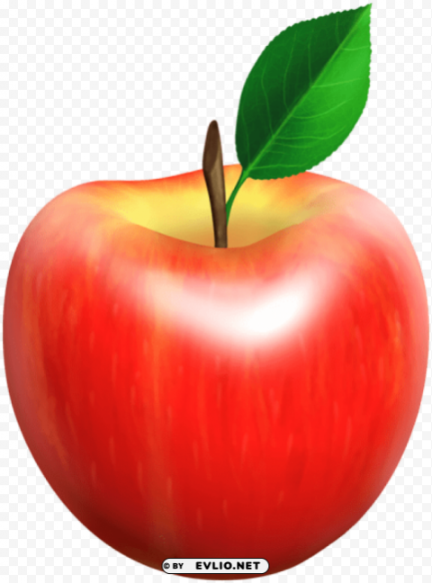 fresh apple PNG transparent design bundle
