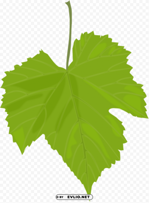 PNG image of green leaves PNG design with a clear background - Image ID fcd9c1c9