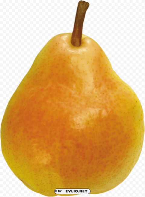 pear PNG image with no background