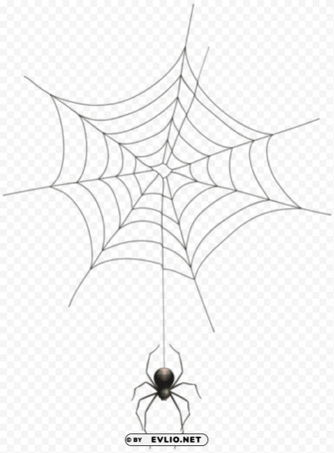 Spider And Web Transparent PNG With Isolated Background