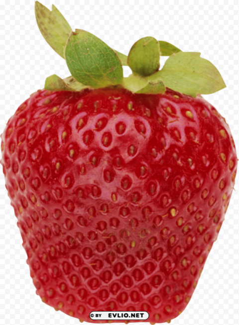 strawberry PNG Image with Clear Isolation