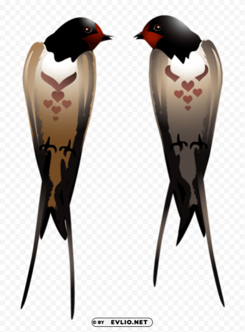 Swallows Alpha Channel Transparent PNG