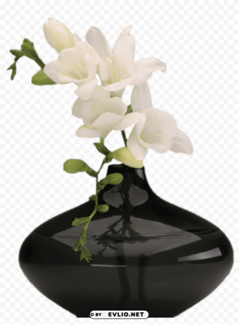 black vase with white orchids Transparent PNG Isolated Object with Detail