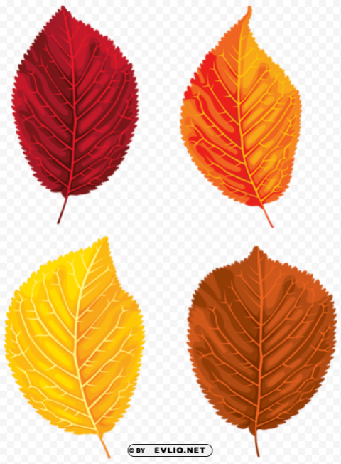 fall leaves set Transparent PNG Illustration with Isolation