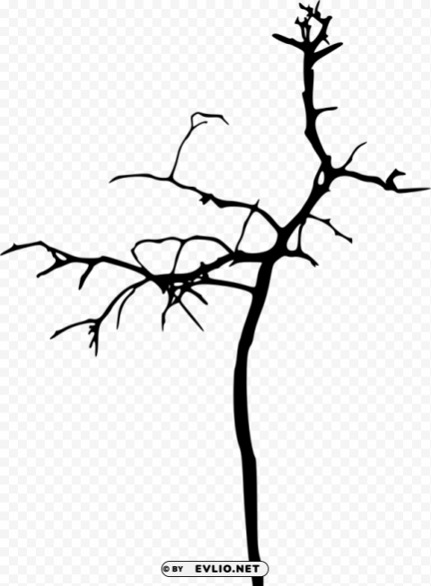simple bare tree silhouette Isolated Artwork on Clear Background PNG